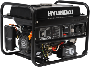 Hyundai Hhy3000fe  img-1